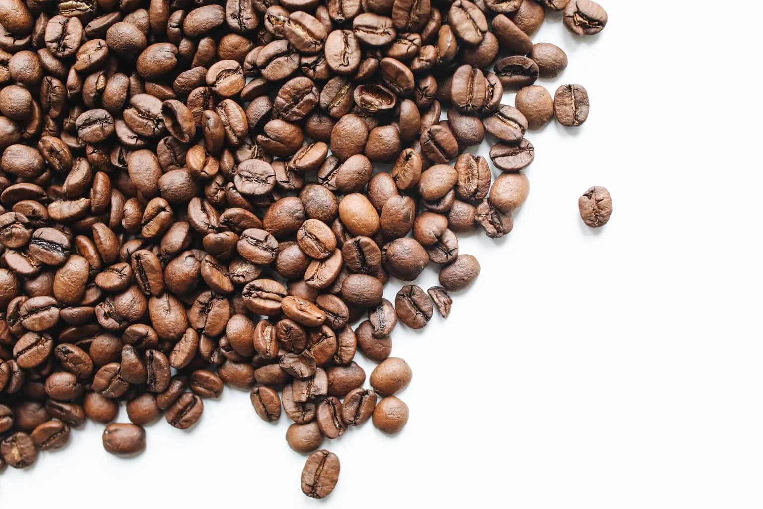 Siphon coffee brewing method paired with Light Roast roast beans