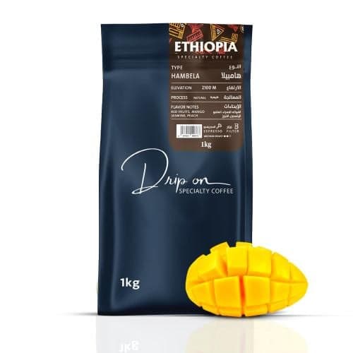 Ethiopian Hambela Specialty Coffee V60 coffee recipe