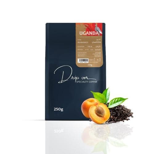 Uganda Mananasi Specialty Coffee Beans V60 coffee recipe